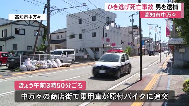 事故 ニュース 死亡 轢き逃げ