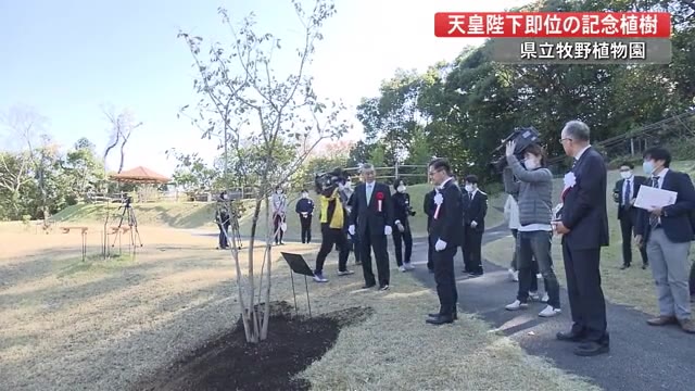 令和の象徴に 天皇陛下の即位を記念して植樹 高知 プライムこうち 高知さんさんテレビ