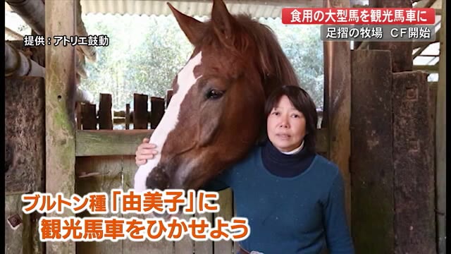 四国初の挑戦!大型の食用馬を観光馬車に ”CF”スタート 「由美子」北海道で特訓中【高知】 « 高知のニュース - 高知さんさんテレビ