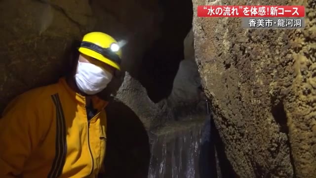 龍河洞に新コース 水の洞窟 登場 鍾乳石の誕生 コウモリ 冒険感を楽しんで Gw初日に公開 高知 プライムこうち 高知さんさんテレビ