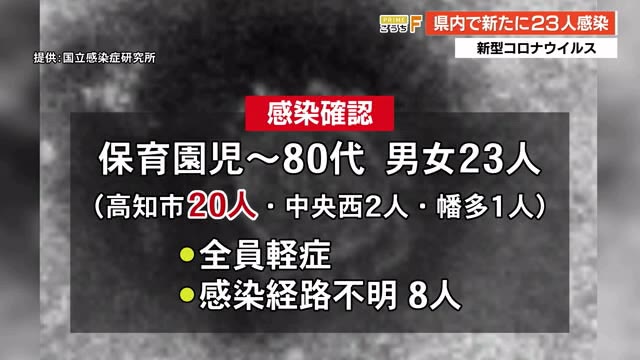 ウイルス 高知 者 感染 速報 県 コロナ 【速報】コロナ新たに14人 認定こども園と高校でクラスター発生