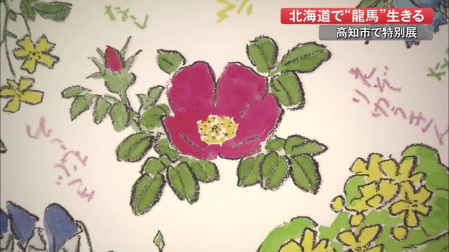 高知 龍馬の子孫 チョッコウさん が描いた北海道 六花亭 包装紙でおなじみ坂本直行の企画展 プライムこうち 高知さんさんテレビ