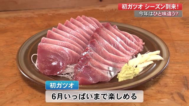 初ガツオシーズン到来 今年は水揚げ量も安定、味も上々 【高知
