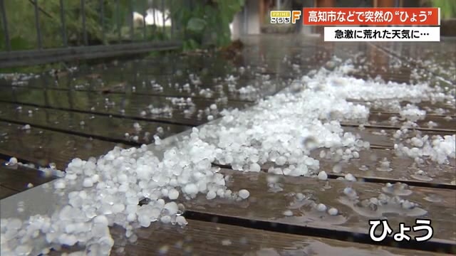 希少　気象　天然の雹　ひょう　千葉・茨城産　落ちたてホヤホヤ厳選採集 高知市などで突然の《ひょう》晴天から急激に荒れた天気に… 牧野