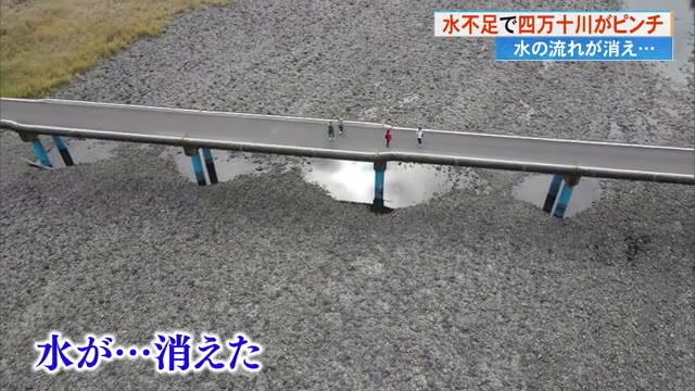 水不足で四万十川がピンチ！ 佐田沈下橋下は石だらけ 屋形船業者が悲鳴