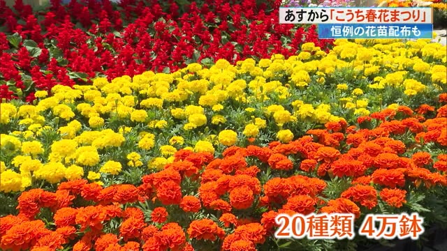 GWは《こうち春花まつり》へ！イベント満載＆花いっぱい 苗の無料