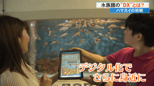 オンラインで餌やりができる！《水槽にカメラ、飼育員にセンサー》DX