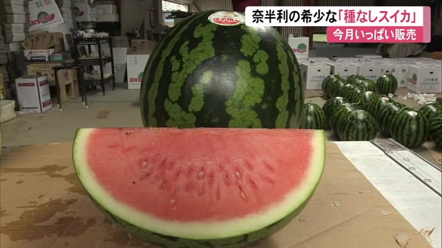 1円スタート!!★高知県奈半利産【温室西瓜（あかね空）】3玉★約10㌔家庭用　25 温室スイカ \u201d高知県夜須町 ルナピエナ\u201d 1玉 約2.5kg 贈答用予約 10月