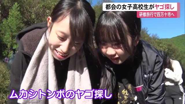 女子高校生旅行写真 