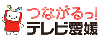 テレビ愛媛